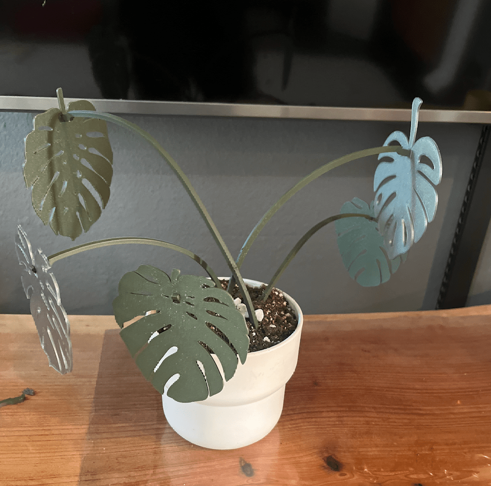 3D printed monstera plant with real soil